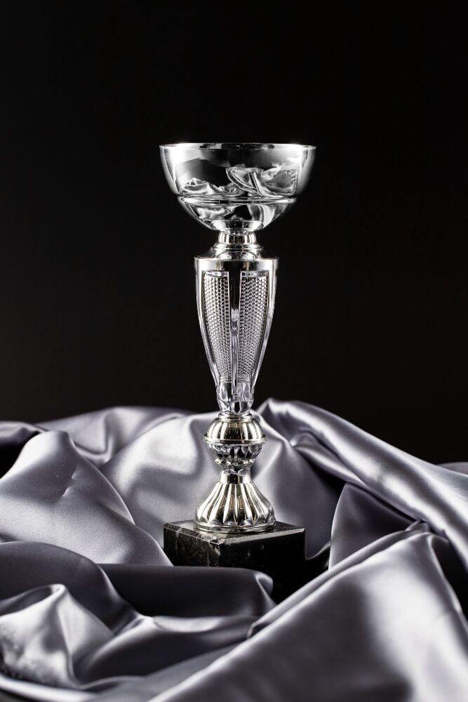 view-silver-cup-trophy